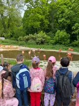 zoo (41)