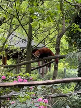 zoo (42)