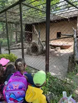 zoo (44)