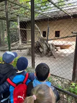 zoo (45)