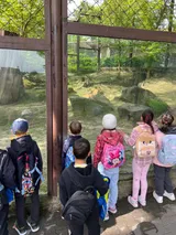 zoo (46)
