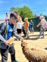 ZOO (5)