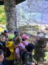 zoo (50)
