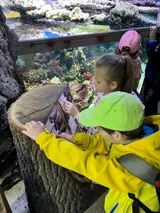 zoo (51)