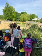 zoo (52)