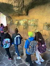 zoo (53)