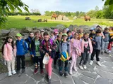 zoo (54)