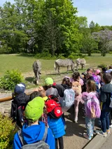 zoo (55)