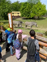 zoo (56)