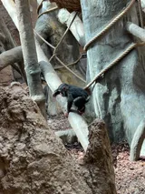 zoo (58)
