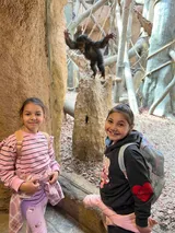 zoo (59)