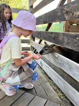 ZOO (6)