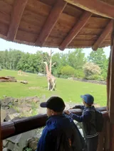 zoo (6)