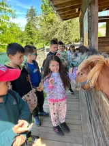 ZOO (7)