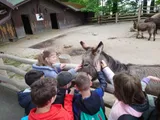 zoo (7)