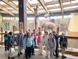 zoo (8)