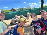 ZOO (8)