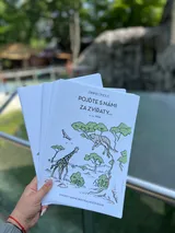 zoo (9)