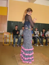 Flamenco