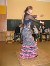 Flamenco