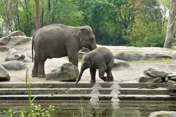  1.A a 1.B na výletě v ZOO