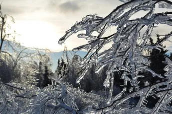 Co nás čeká v lednu?