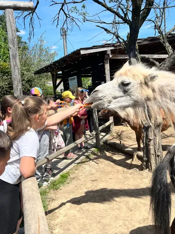 Výlet 3.A - miniZOO