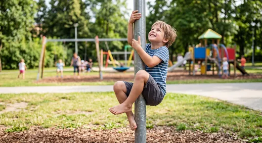 Gemini_Generated_Image_s2dae5s2dae5s2da